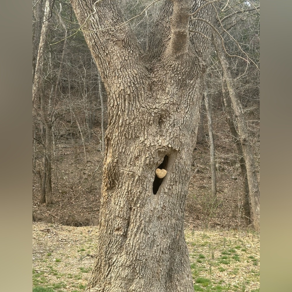 Meet your Posher, Whitney - Picture 3 of 13